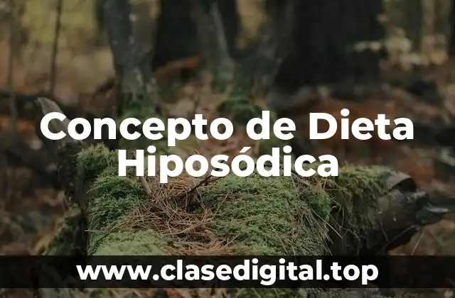 Concepto de Dieta Hiposódica
