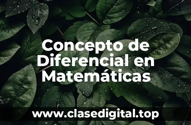 Concepto de Diferencial en Matemáticas