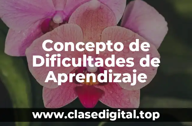 📗 Concepto de Dificultades de Aprendizaje