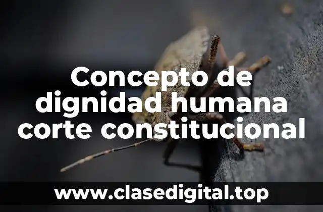 Concepto de dignidad humana corte constitucional
