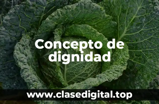 Concepto de dignidad