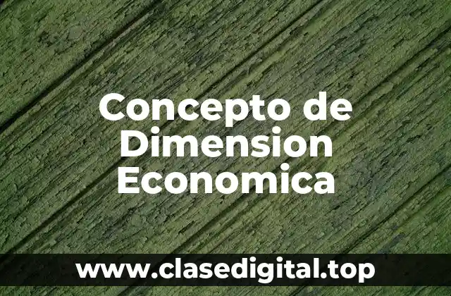 Concepto de Dimension Economica