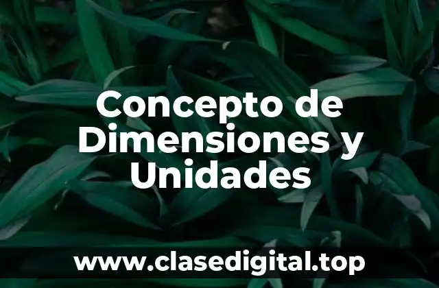 Concepto de Dimensiones y Unidades