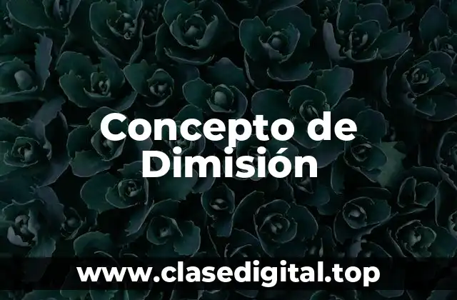 Concepto de Dimisión