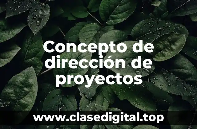 Concepto de dirección de proyectos