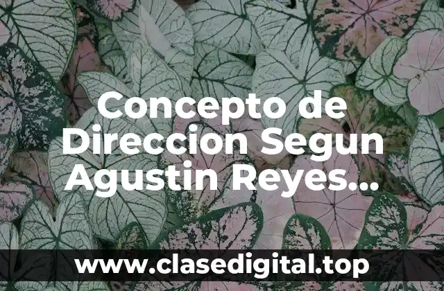 Concepto de Direccion Segun Agustin Reyes Ponce