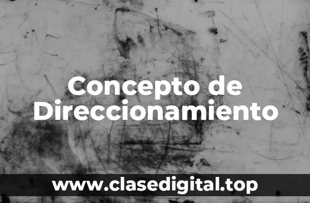 Concepto de Direccionamiento