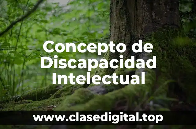 Concepto de Discapacidad Intelectual