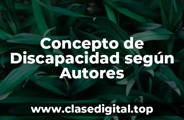 Concepto de Discapacidad según Autores