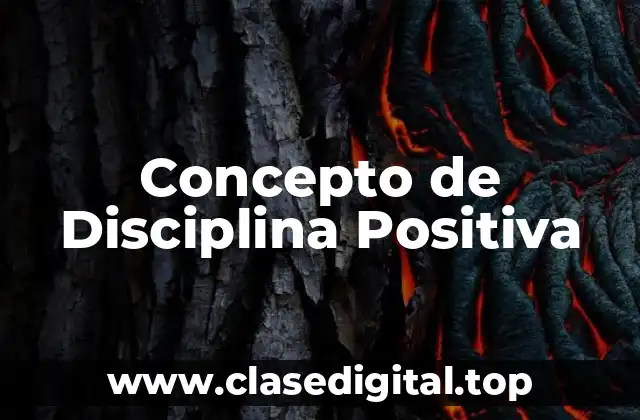 Concepto de Disciplina Positiva