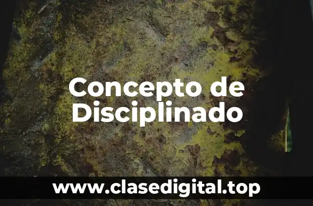 Concepto de Disciplinado