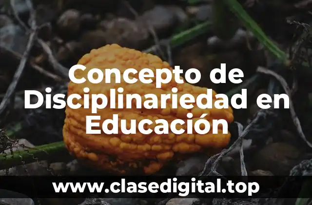 Concepto de Disciplinariedad en Educación