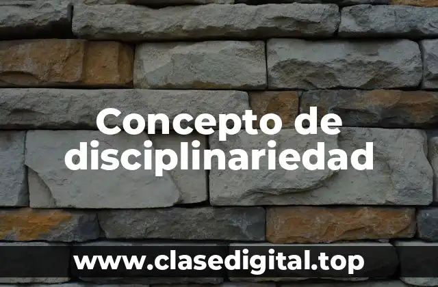 Concepto de disciplinariedad