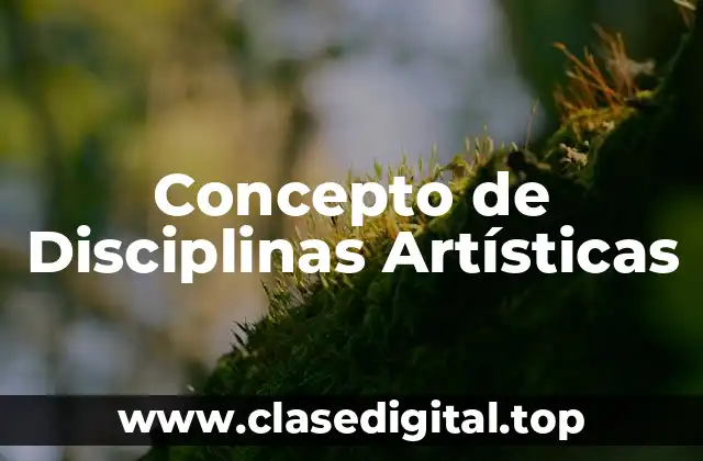 Concepto de Disciplinas Artísticas