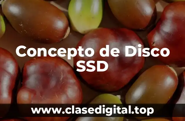Concepto de Disco SSD