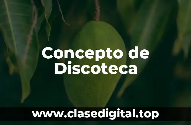 Concepto de Discoteca
