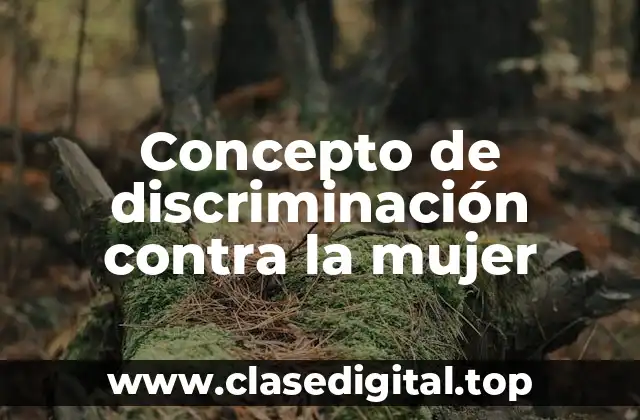 ✳️ Concepto de discriminación contra la mujer