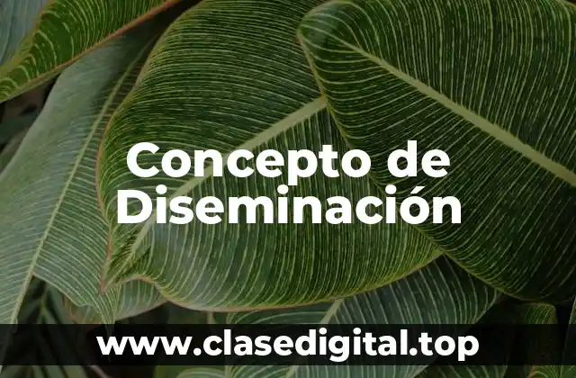Concepto de Diseminación