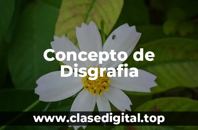 Concepto de Disgrafia