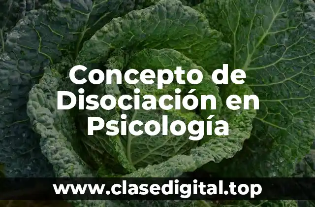 Concepto de Disociación en Psicología