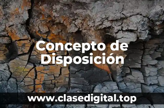 Concepto de Disposición