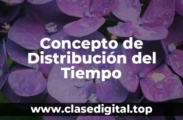 Concepto de Distribución del Tiempo