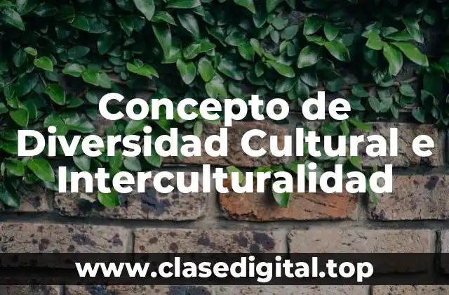 Concepto de Diversidad Cultural e Interculturalidad