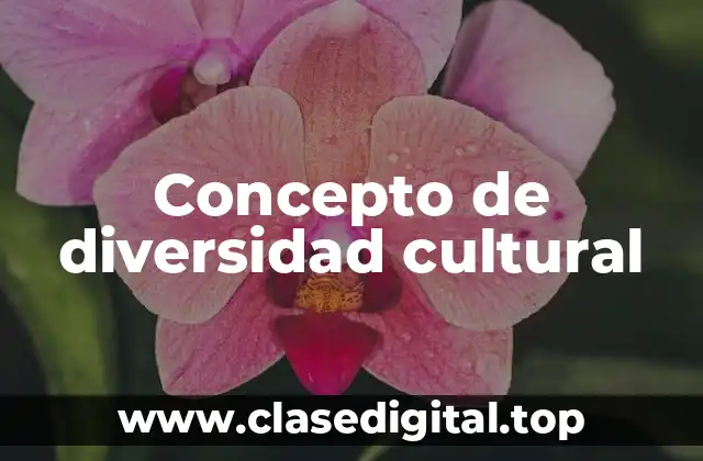 Concepto de diversidad cultural