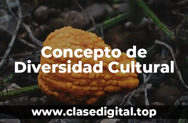 ☄️ Concepto de Diversidad Cultural