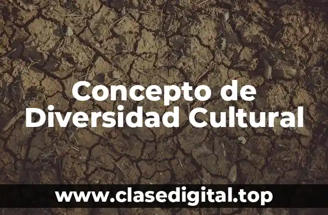 Concepto de Diversidad Cultural