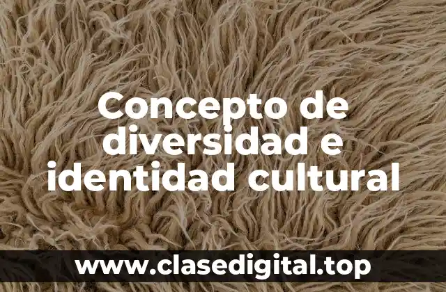 Concepto de diversidad e identidad cultural