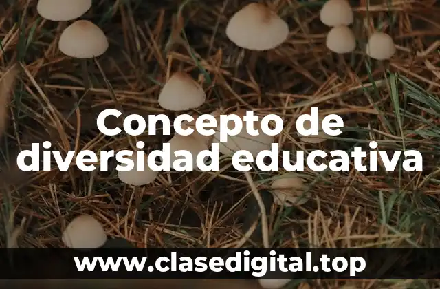 Concepto de diversidad educativa