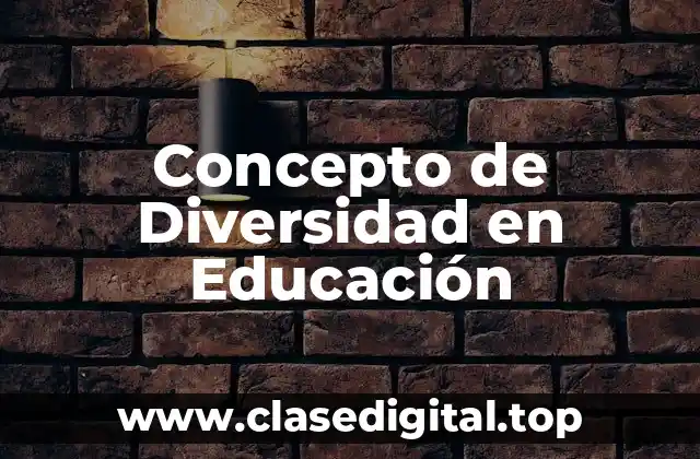 Concepto de Diversidad en Educación