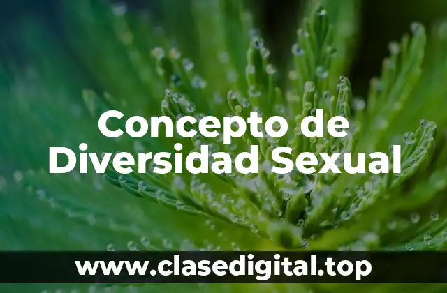 Concepto de Diversidad Sexual