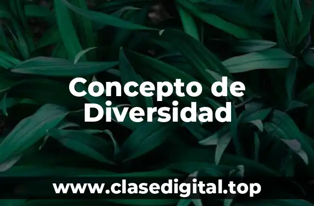 📗 Concepto de Diversidad