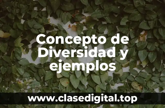 Concepto de Diversidad y ejemplos