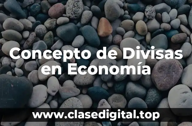 Concepto de Divisas en Economía