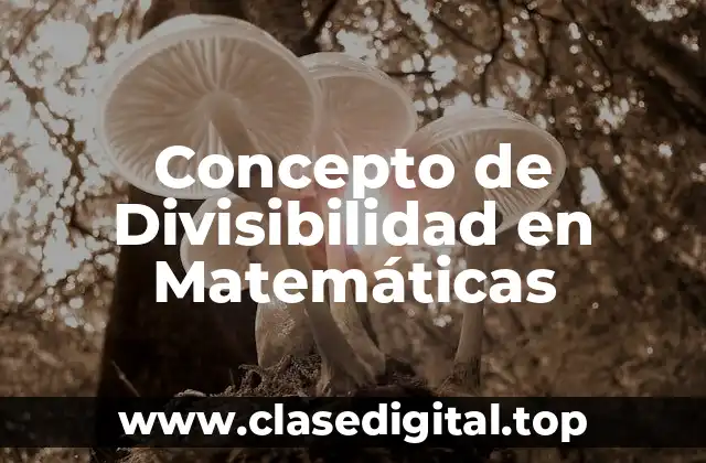 Concepto de Divisibilidad en Matemáticas