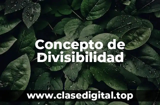 Concepto de Divisibilidad