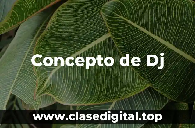 Concepto de Dj