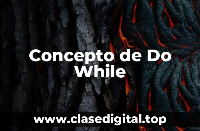 Concepto de Do While