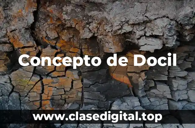 📗 Concepto de docil
