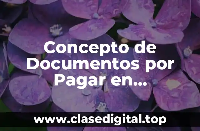 Concepto de Documentos por Pagar en Contabilidad