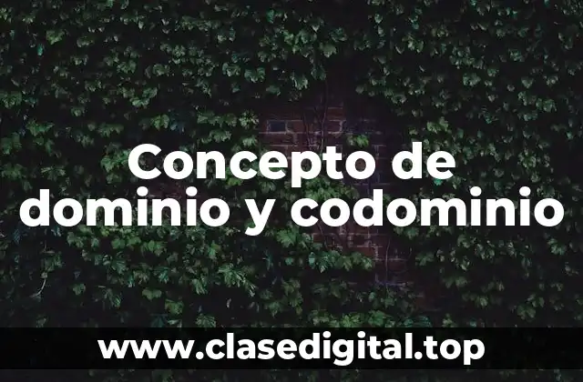 Concepto de dominio y codominio