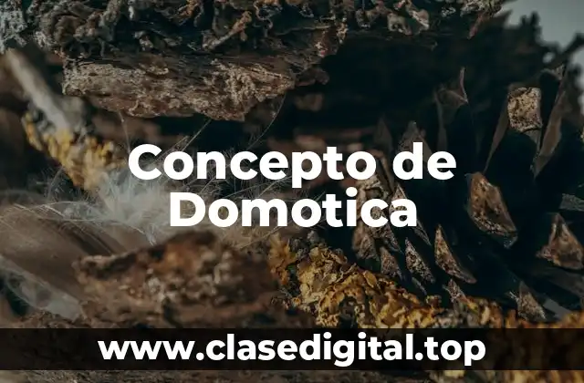 Concepto de Domotica