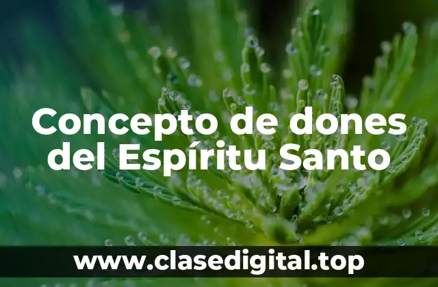 Concepto de dones del Espíritu Santo
