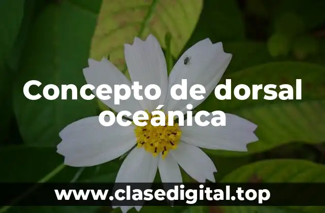 Concepto de dorsal oceánica