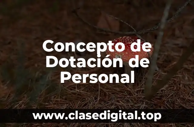 Concepto de Dotación de Personal