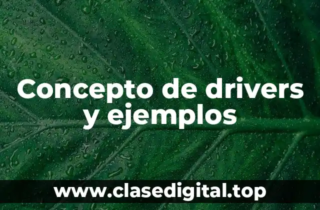 ✴️ Concepto de drivers