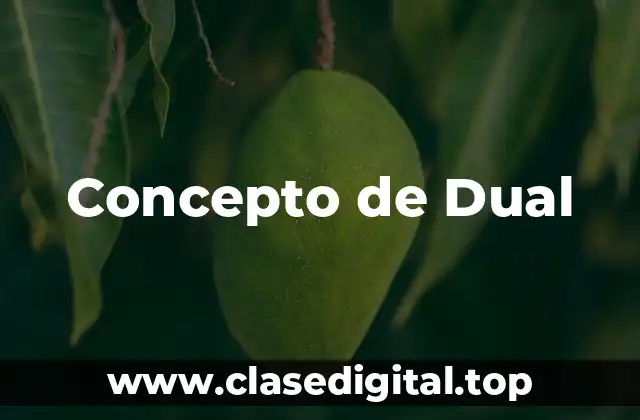 Concepto de Dual